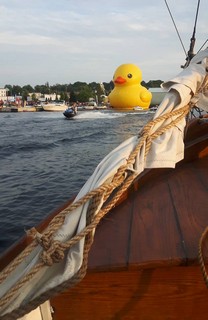 Giant rubber duck tall ship